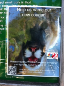 Name the Cougar Ad with QR Code